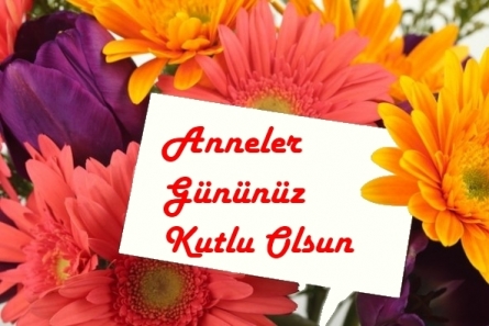 Resim Ekleme